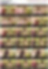 85460356_[14y]_rosmeri___sc1.wmv.jpg